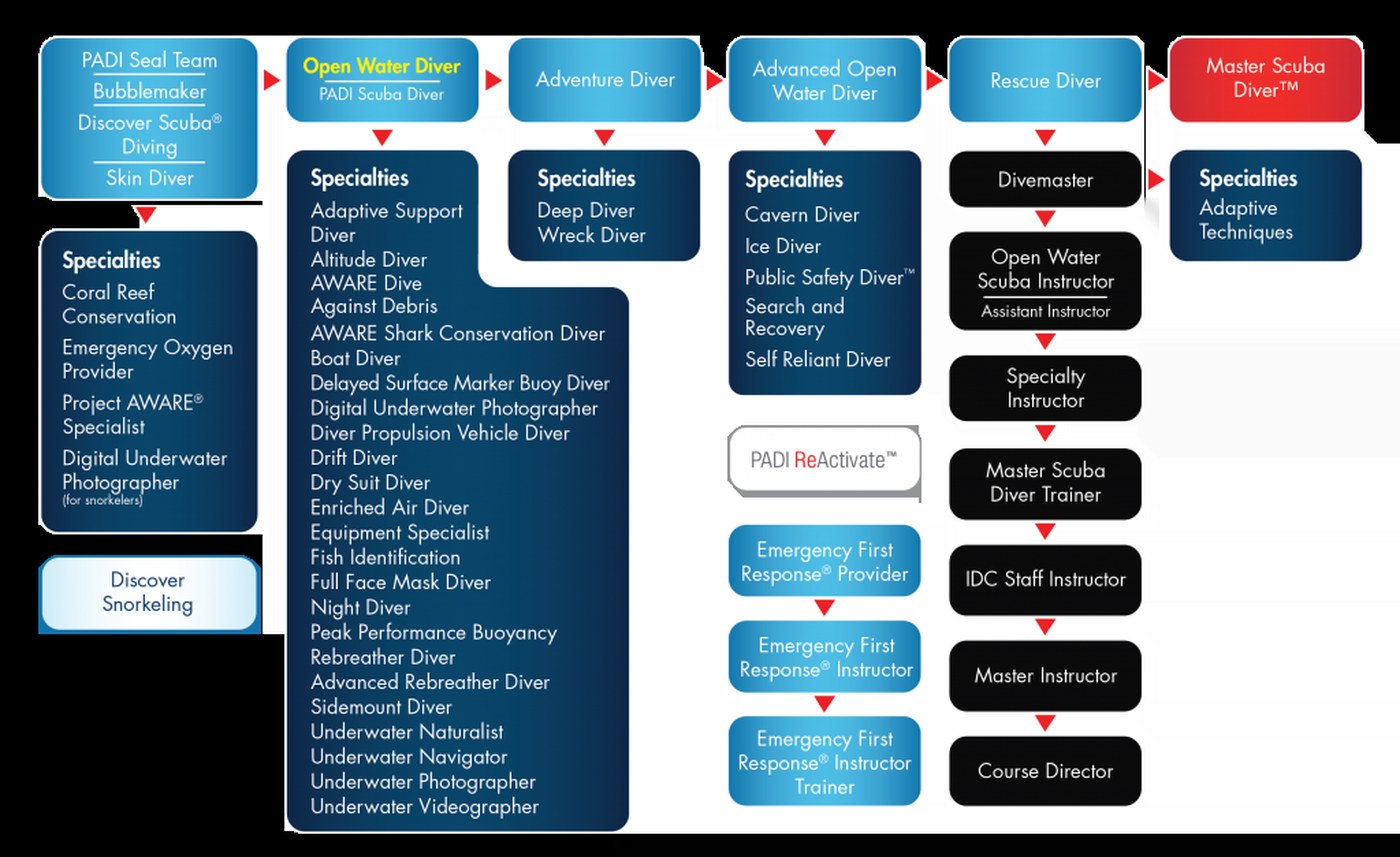 Diagrama de trayectorias PADI